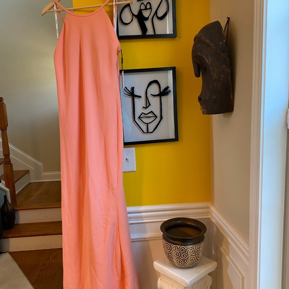 Calvin Klein So Peachyyyy Dress V Back Halter Gown